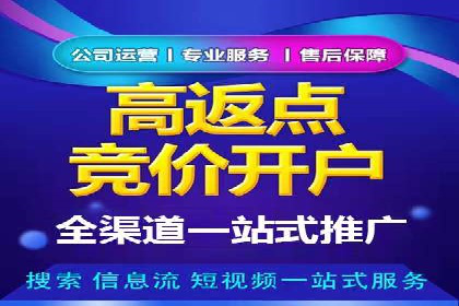 深入了解SEM代运营服务公司的技术实力